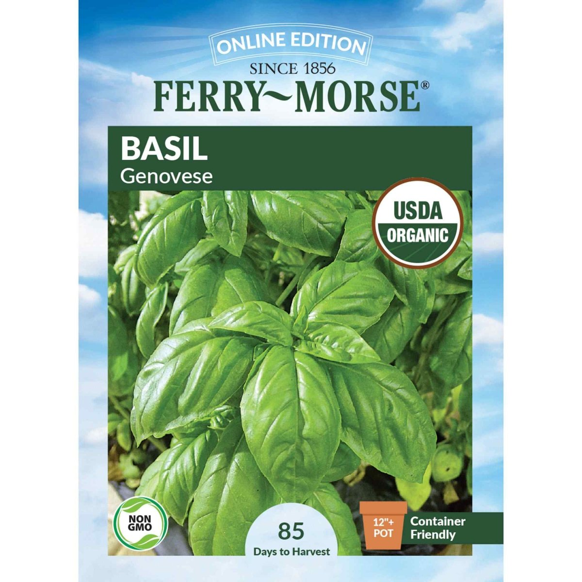 Ferry-Morse Basil Genovese Seeds - Thumbnail 2