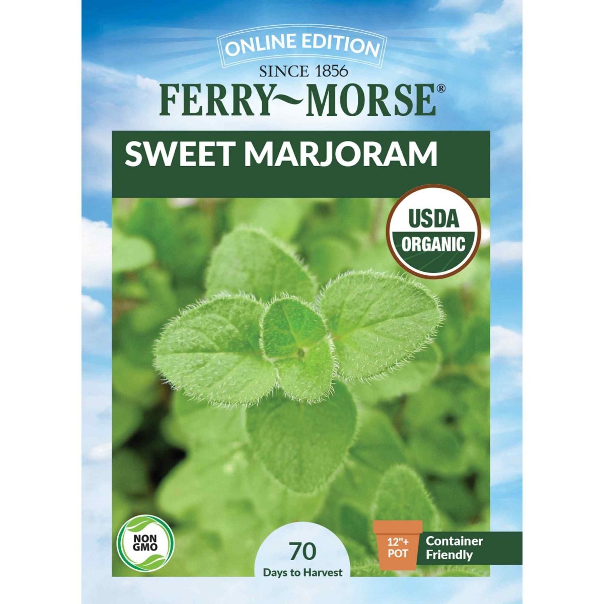 planting sweet marjoram seeds Ferry-Morse Online Edition 300mg Sweet Marjoram Seeds, Part Sun