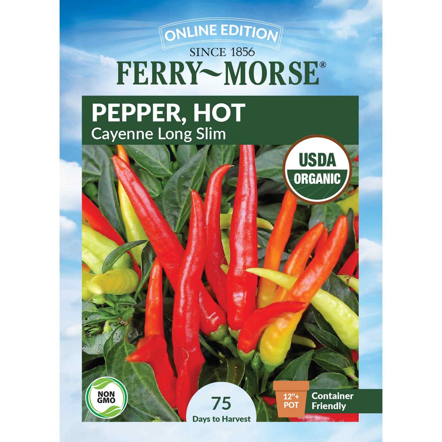 Pepper, Cayenne Long Slim Organic Seeds