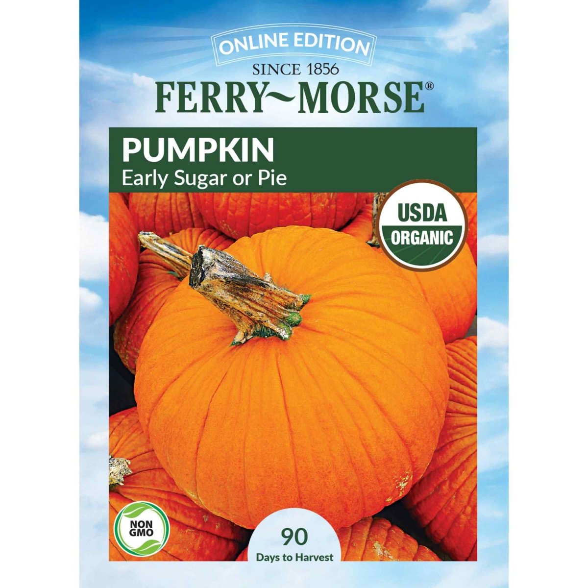 sugar pumpkin seeds to plant Ferry-Morse Organic Pumpkin Seeds 4.4 Gram(s)