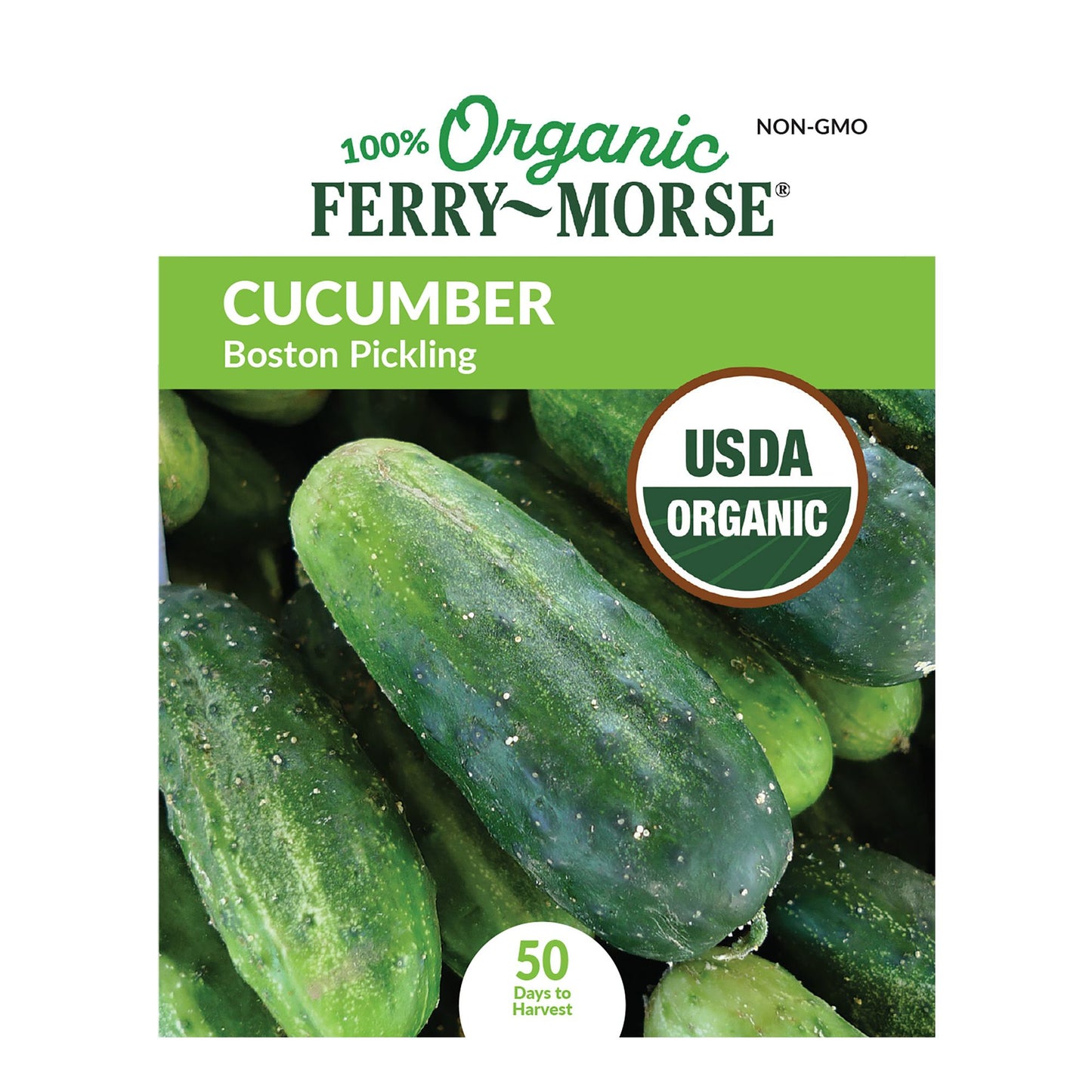 Cucumber, Boston Pickling Organic Seeds