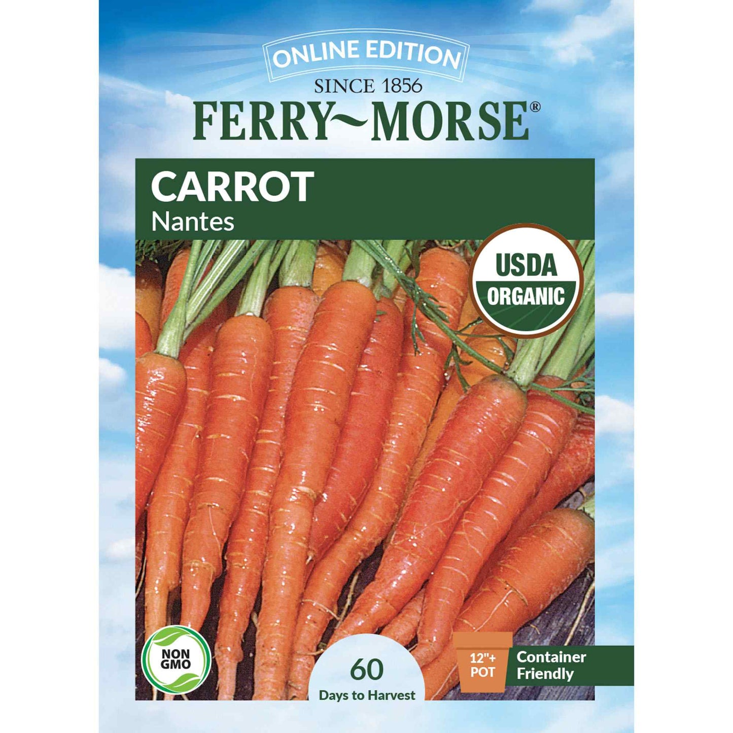 Carrot, Nantes Organic Seeds