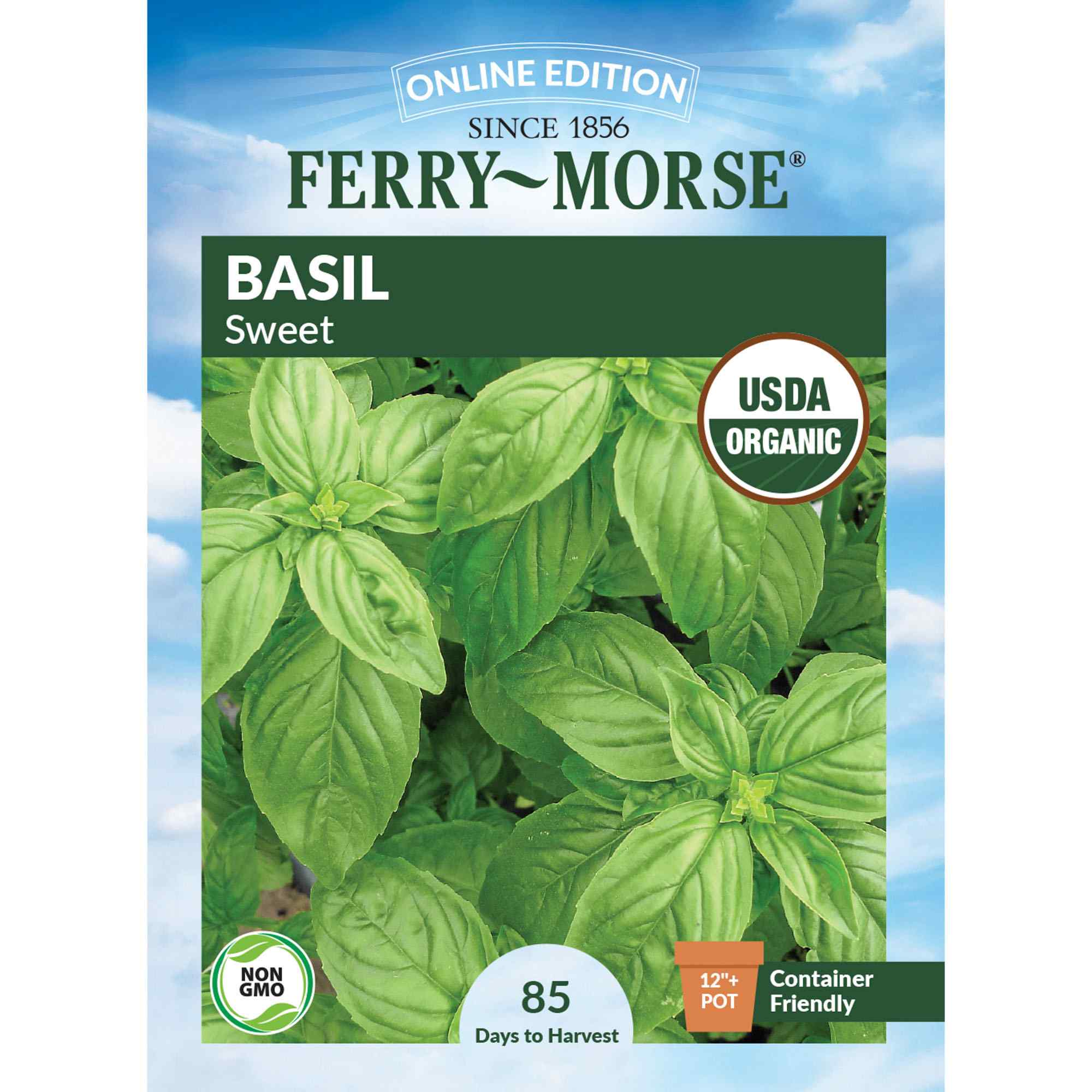 Basil, Sweet Organic Seeds Online Edition