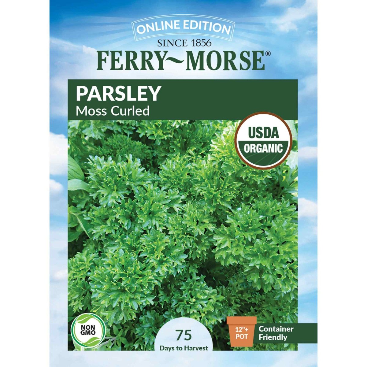 parsley seeds from plant Parsley, Extra Triple Curled Organic Seeds