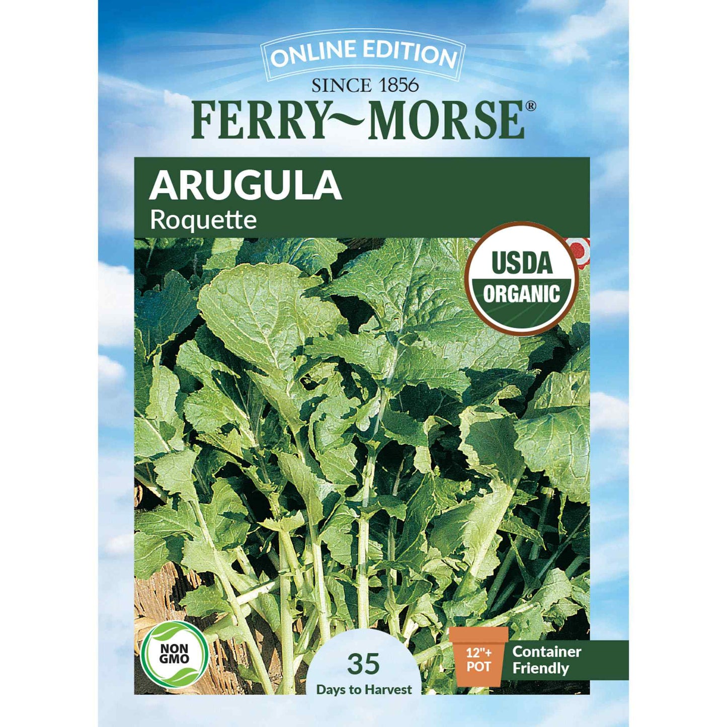 Arugula, Roquette Organic Seeds