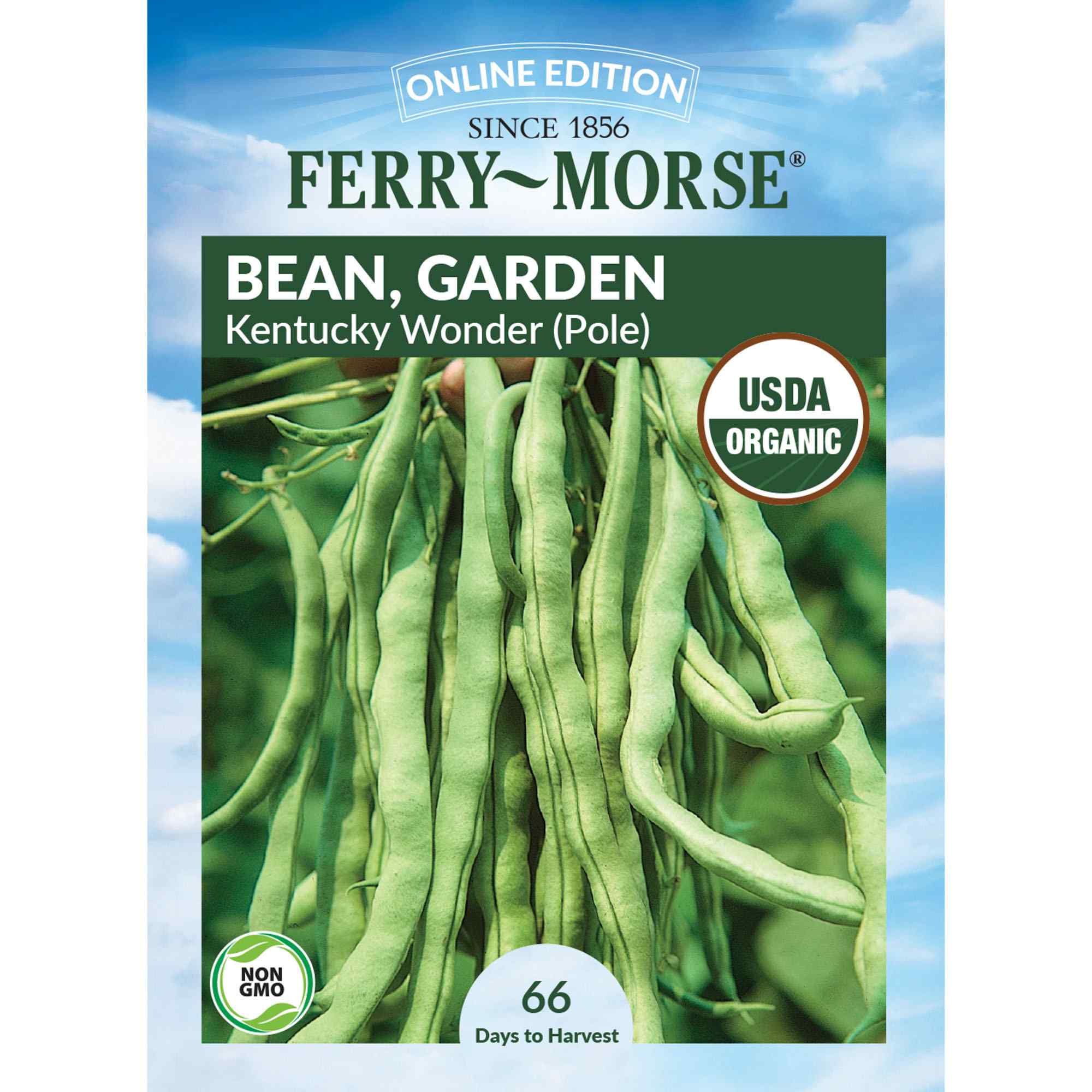 Bean, Kentucky Wonder Pole Organic Seeds | Vegetable Garden