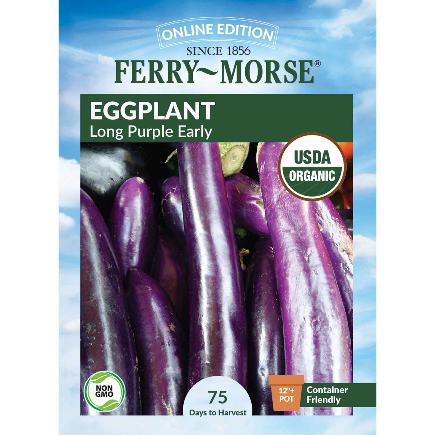 Eggplant, Long Purple Early Organic Seeds Online Edition