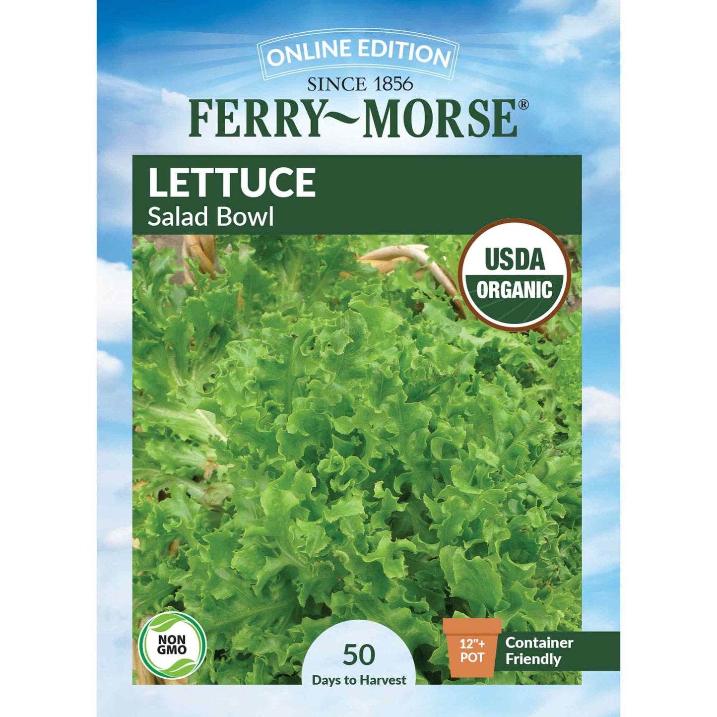 Lettuce, Salad Bowl Organic Seeds Online Edition