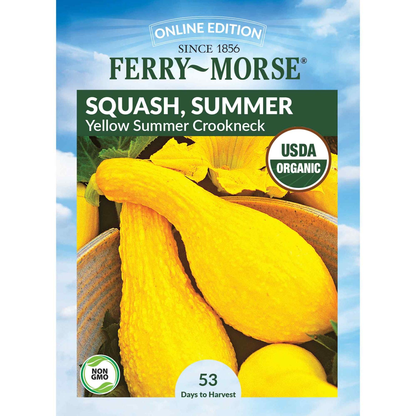 Squash, Yellow Summer Crookneck Organic Seeds Online Edition