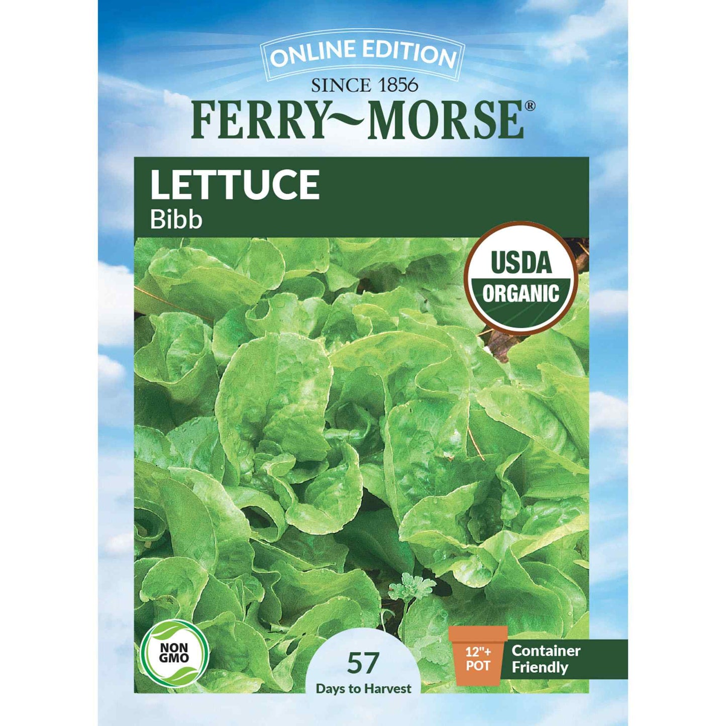 Lettuce, Bibb Organic Seeds Online Edition