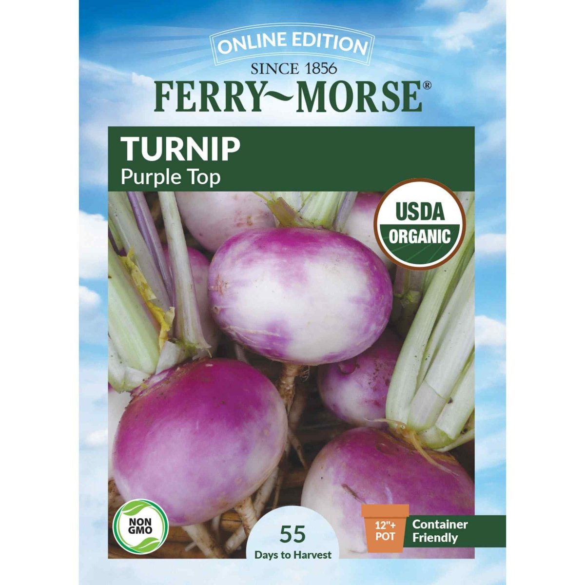 Turnip, Purple Top Organic Seeds | Organic Turnip | Vegetable