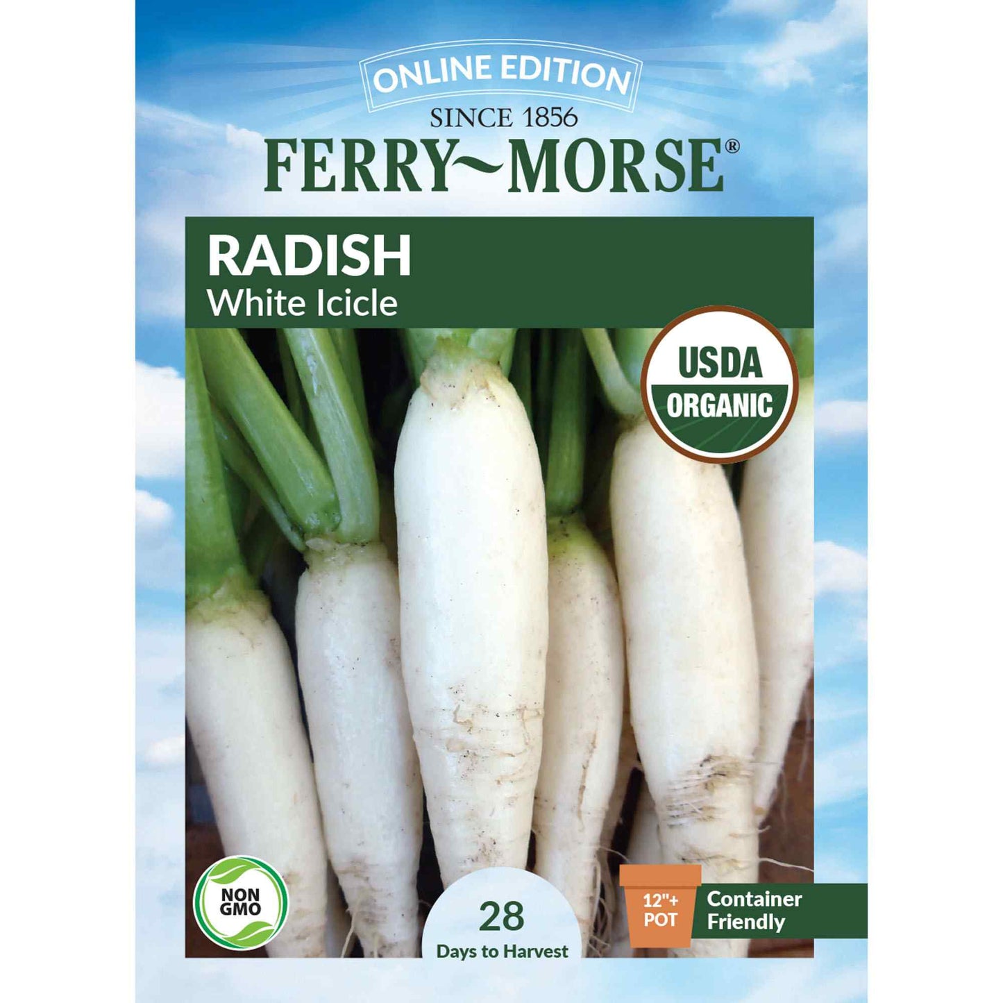 Radish, Icicle Short Top Organic Seeds