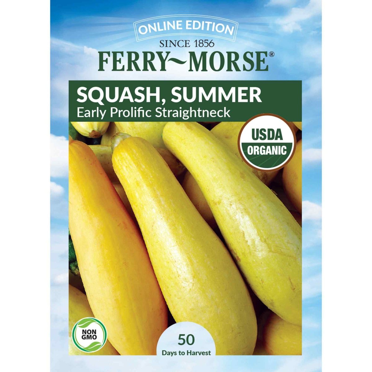 Squash, Early Prolific Straightneck Organic Seeds | Organic Squash