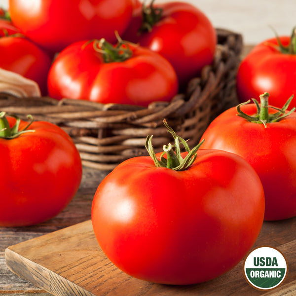 1490_Beefsteak_image_grande.