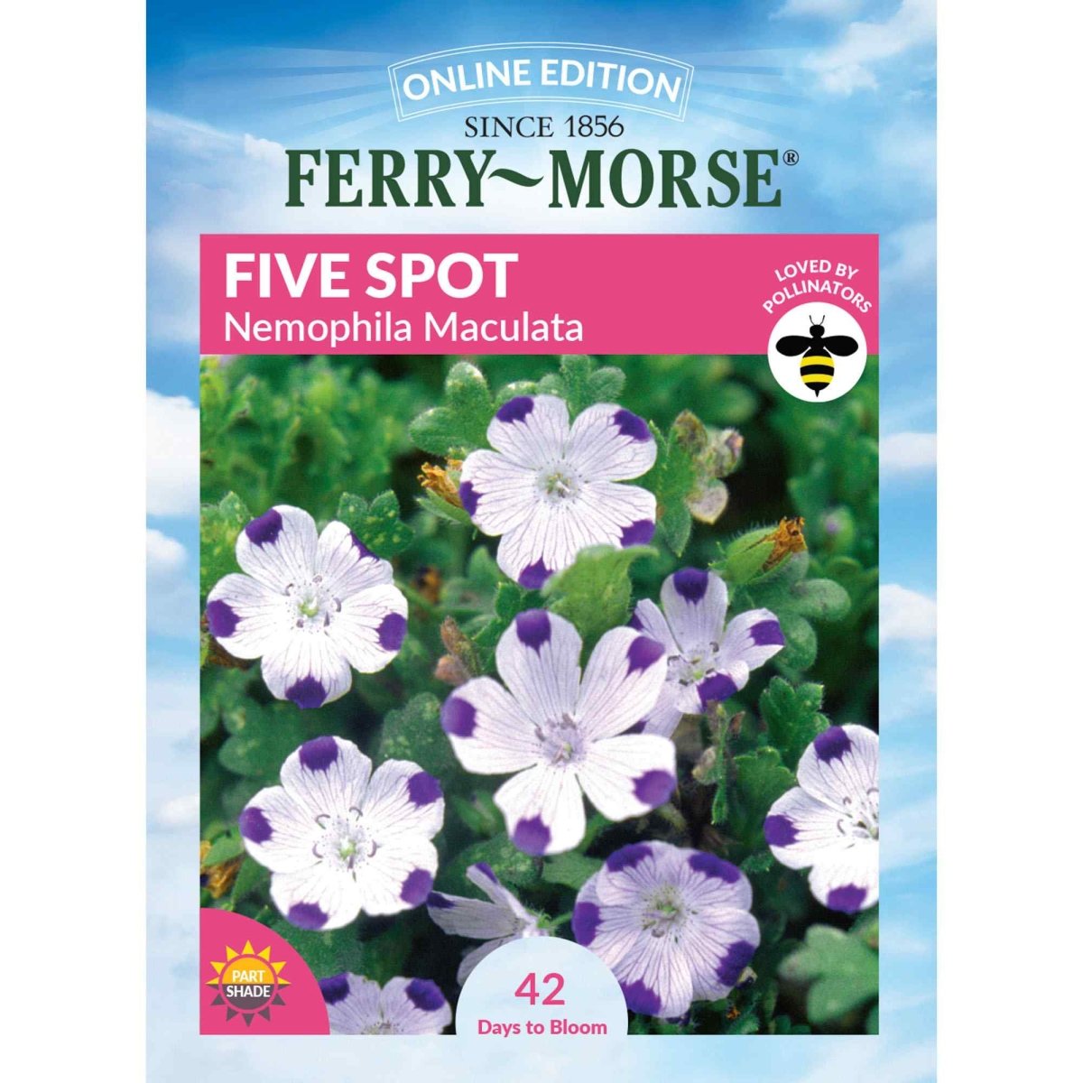 rf5 flower seeds Ferry-Morse Online Edition 900mg Five Spot Nemophila Maculata Seeds