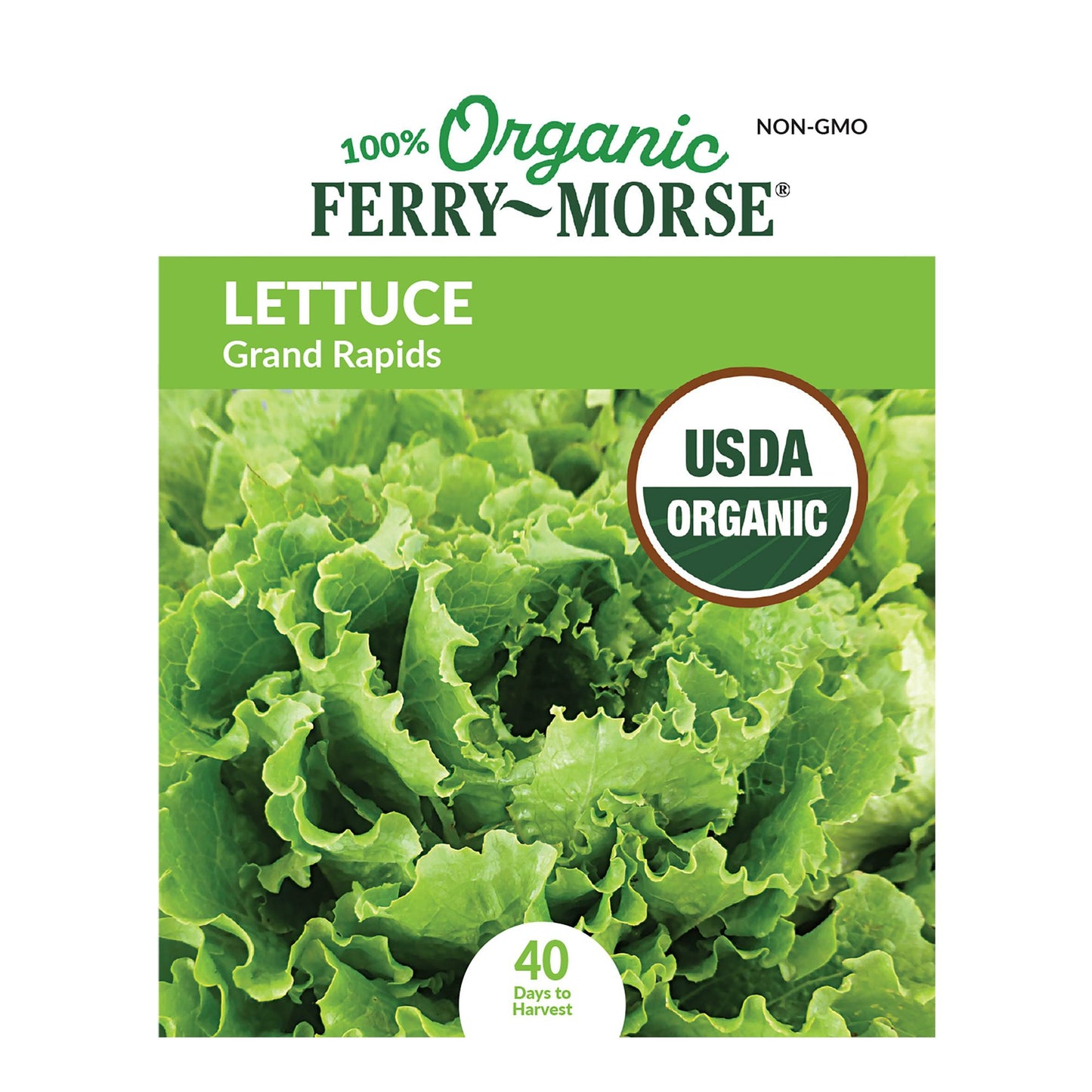 Lettuce, Grand Rapids Organic Seeds