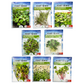 Microgreens Spicy Flavor Seed Bundle, 8 Pack