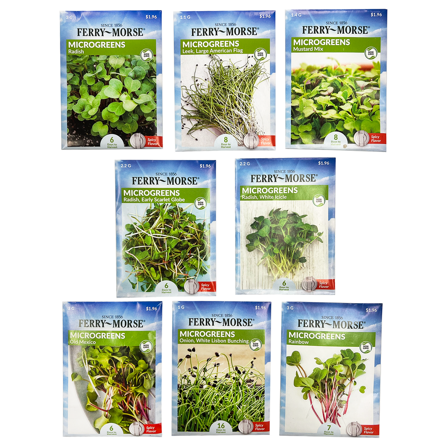 Microgreens Spicy Flavor Seed Bundle, 8 Pack