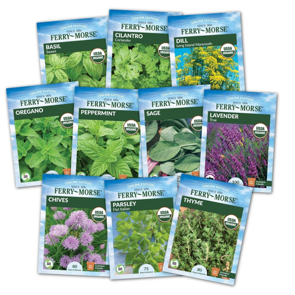 Herb Enthusiast Organic Seed Bundle (10 Pack) FerryMorse Seeds
