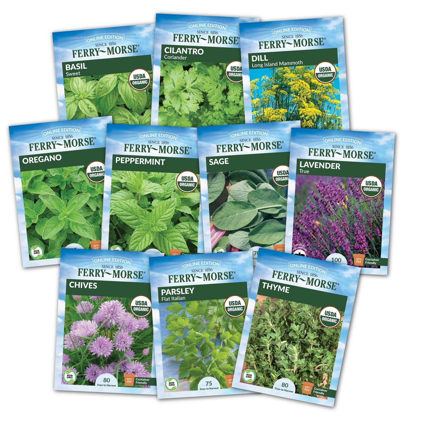 Herb Enthusiast Organic Seed Variety Pack - 10 Pack