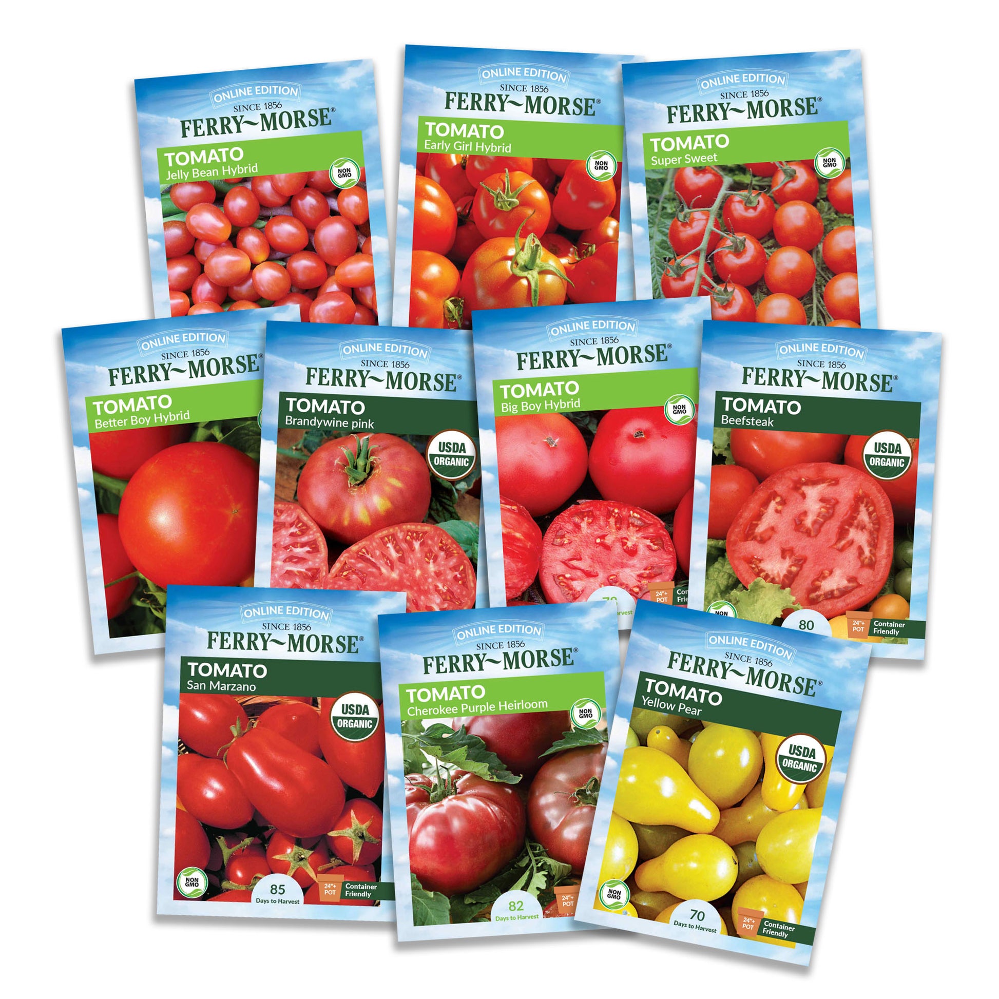 tomato plant seeds for sale Premium Tomato Seeds (10 Pack)