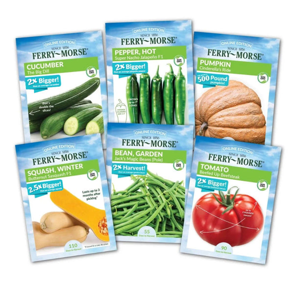 Colossal Vegetable Non-GMO Seed Bundle( 6 Pack) | Ferry-Morse