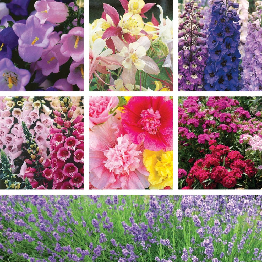 garden seeds free shipping Ferry-Morse English Cottage Perennial Garden Seed Variety Pack
