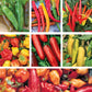 Hot Pepper Non-GMO  Seed Variety Pack - 7 Pack