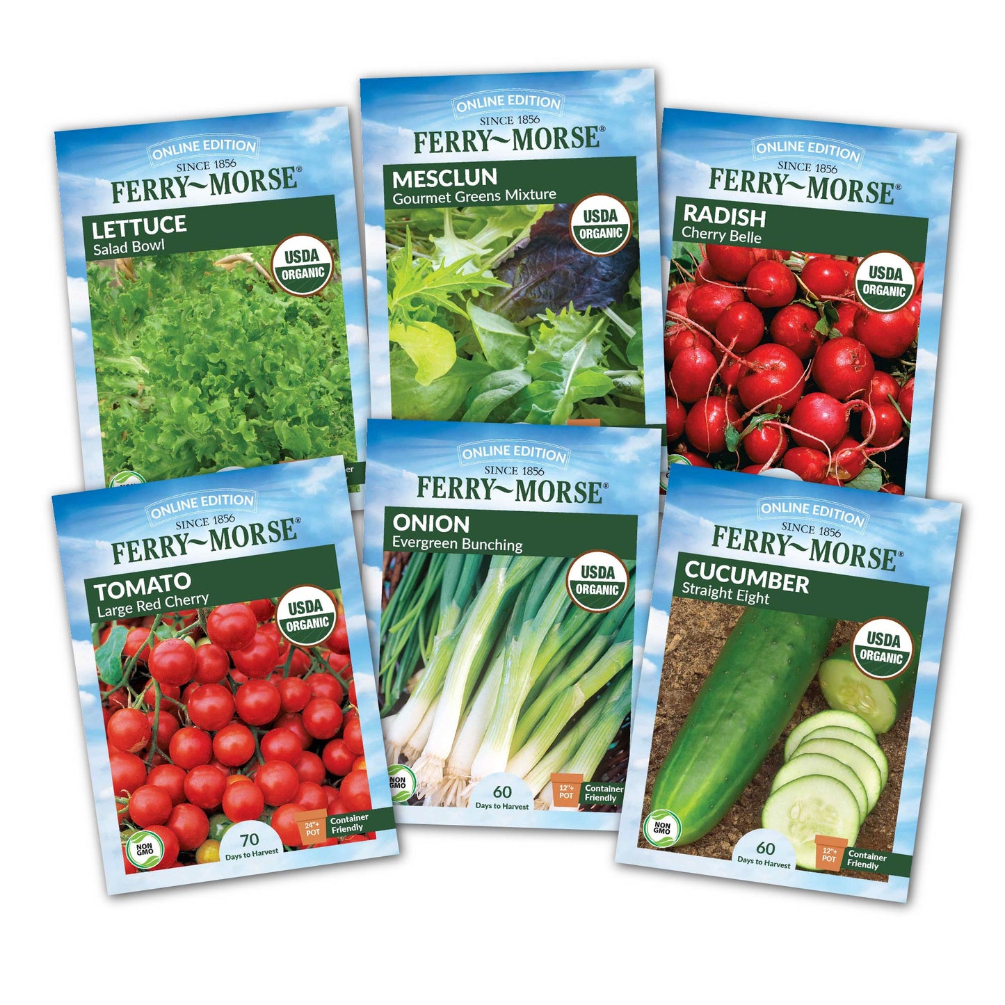 Organic Salad Garden Seed Variety Pack - 6 Pack