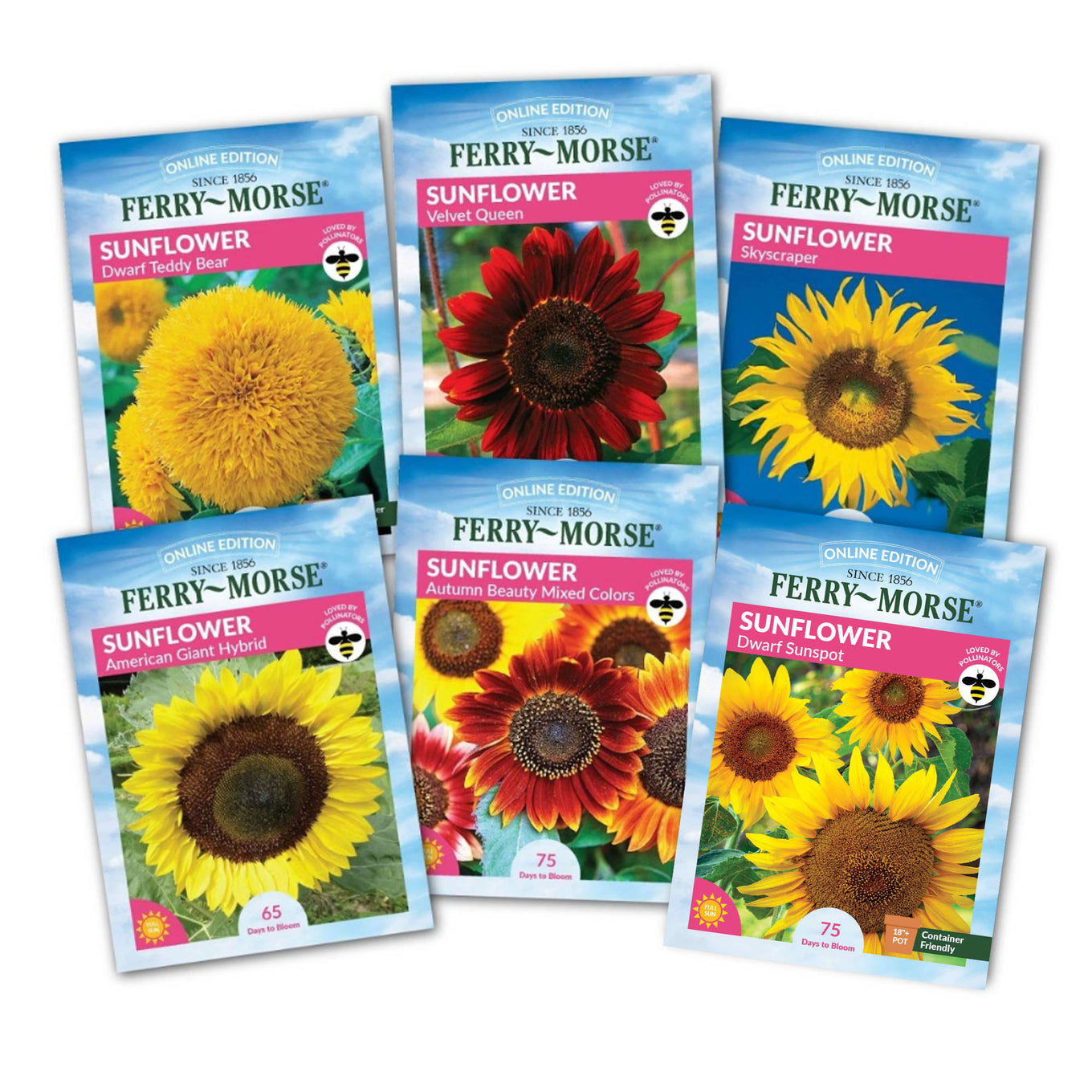 best place to buy sunflower seeds for planting Grow the Sunshine Sunflower Seed Variety Pack