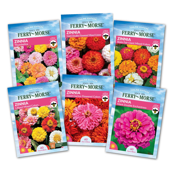 flower seed online Ferry-Morse Zinnia Flowers Seed Variety Pack