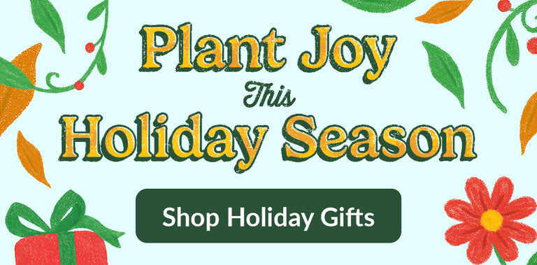 Festive holiday banner promoting Ferry-Morse Holiday Collection with message 'Plant joy this holiday season'