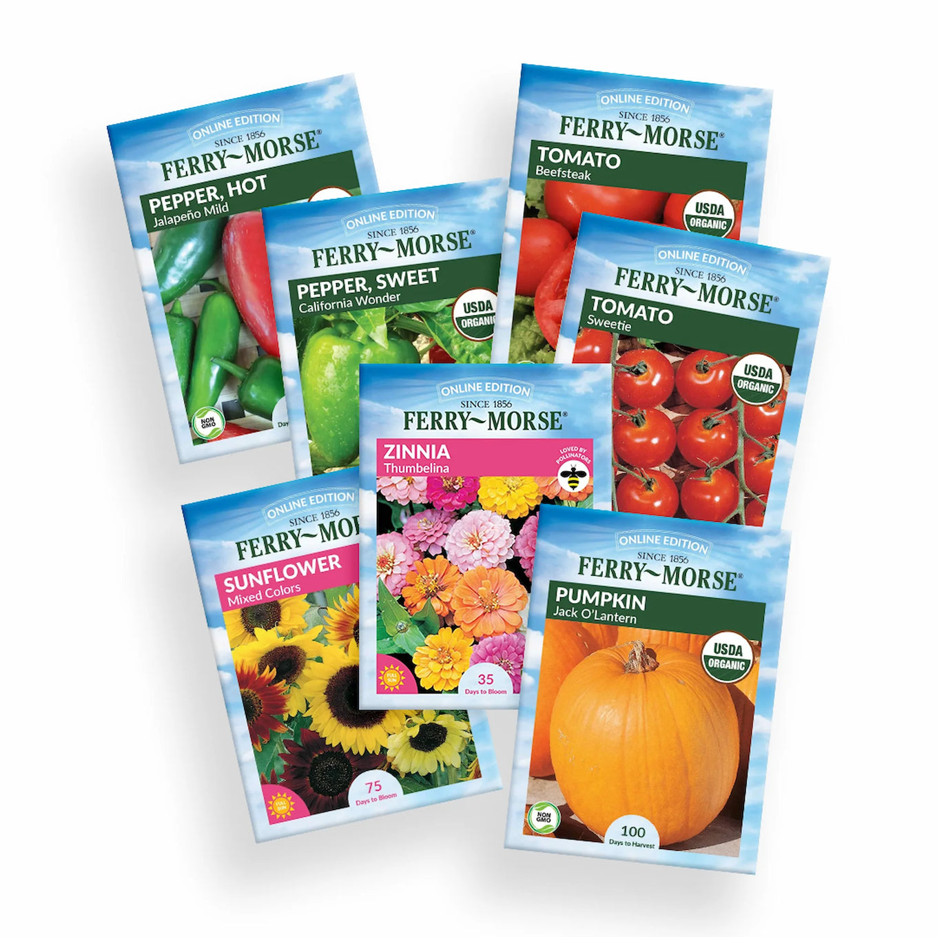 faithway alliance garden seed The Great Garden Challenge Seed Variety Pack