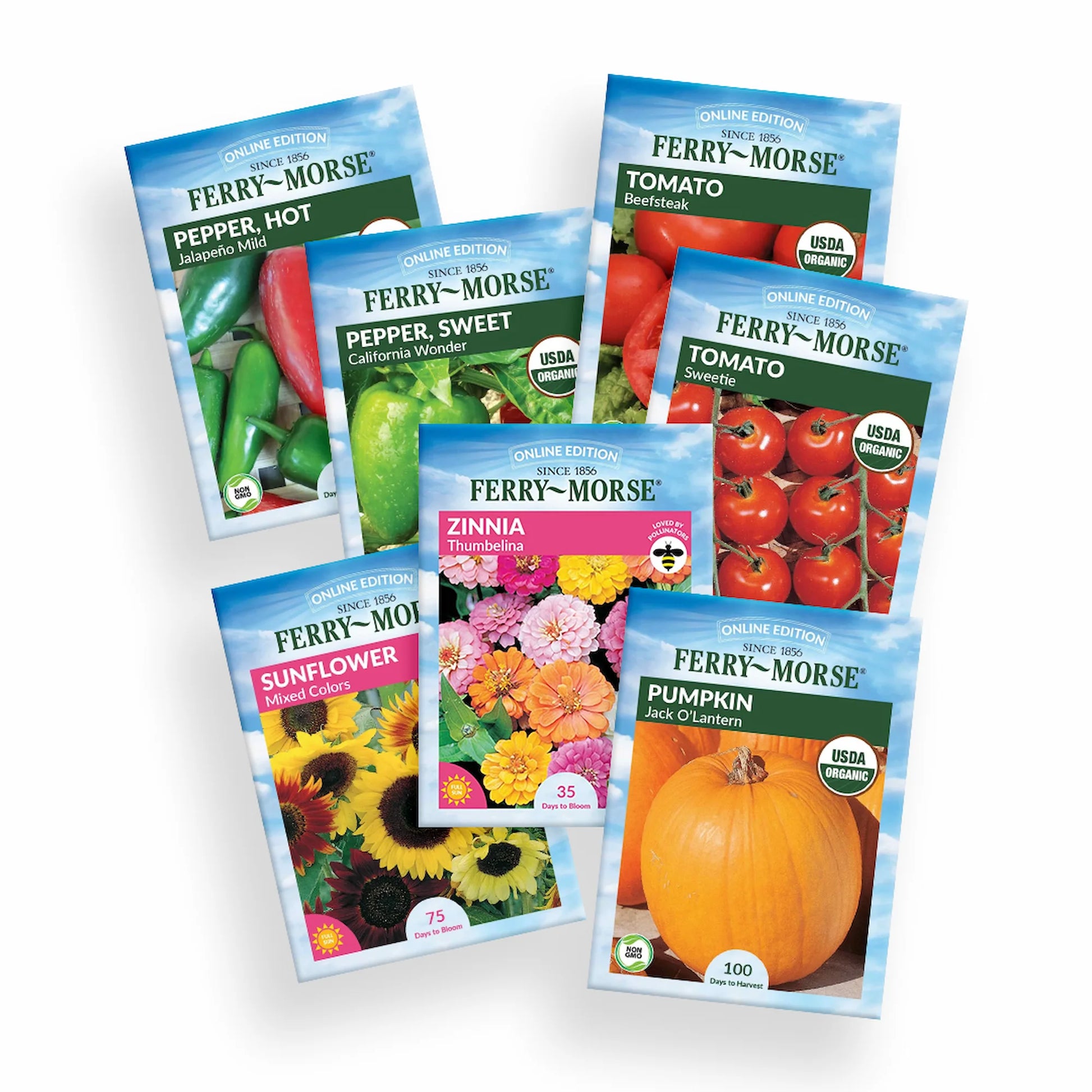 a garden from a hundred packets of seeds The Great Garden Challenge Seed Variety Pack