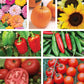 Collage of various vegetables and flowers including pumpkins, sunflowers, peppers, and tomatoes.