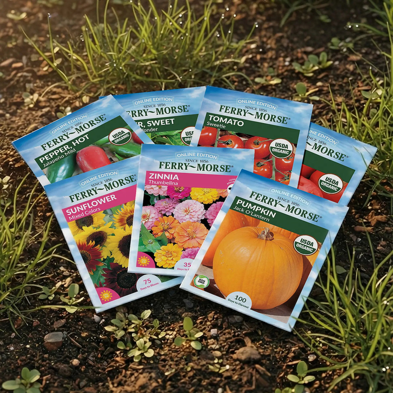 Ferry Morse seed packets for various plants on a garden bed