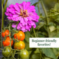 Purple flower with green and orange tomatoes on a plant, labeled 'Beginner-friendly favorites!'.