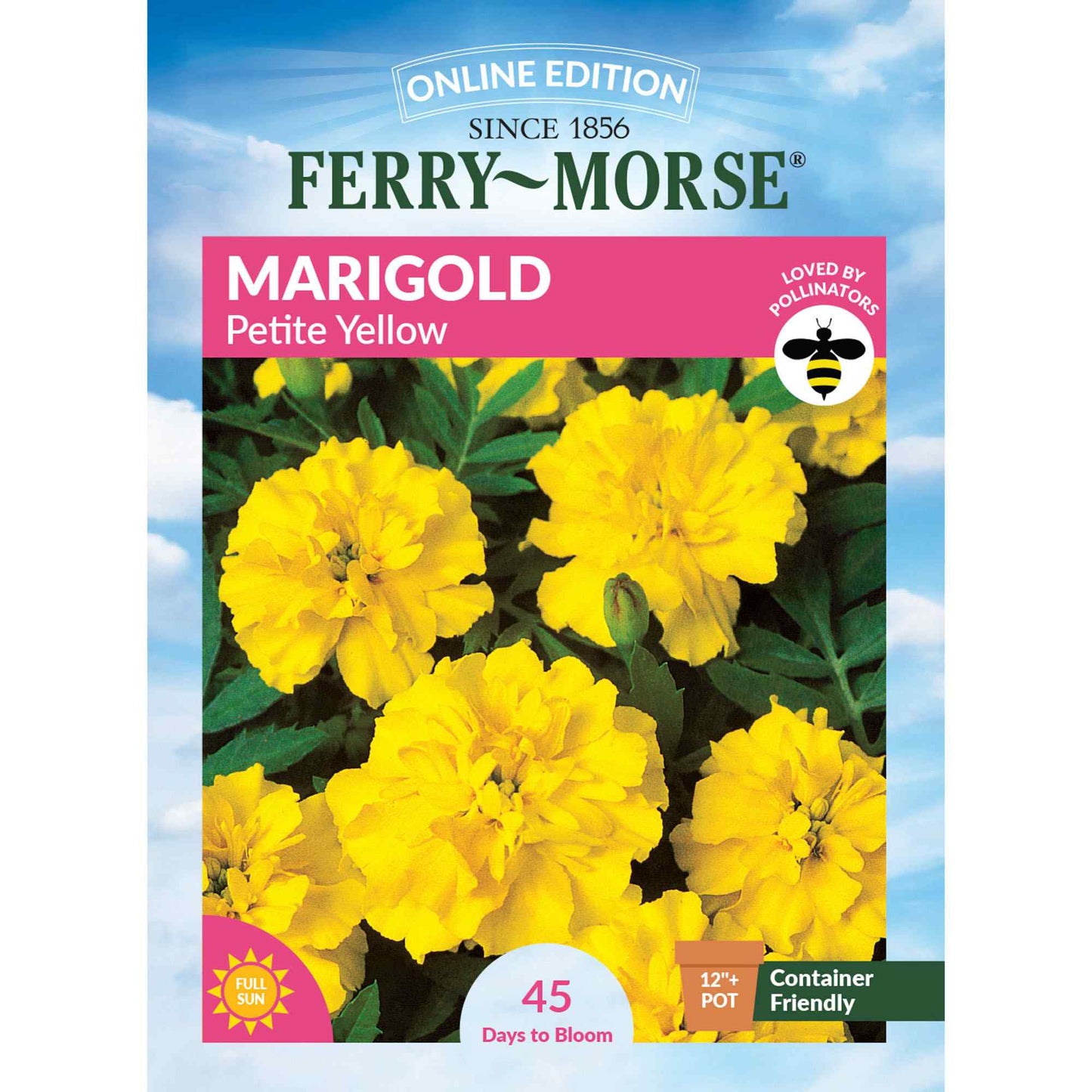 Marigold, Petite Yellow Seeds