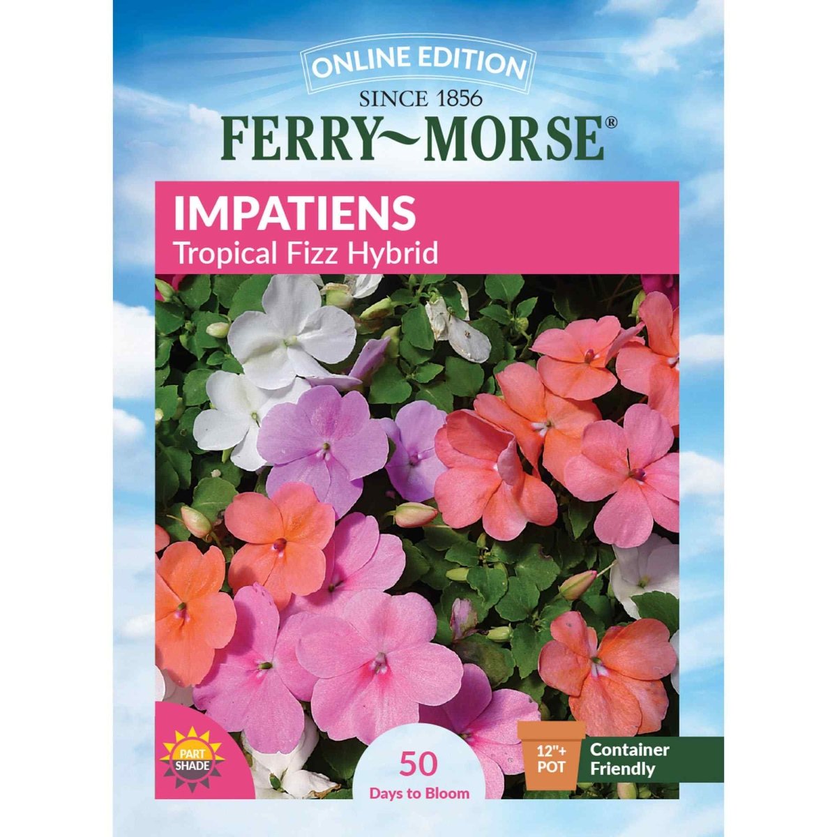 tropical flower seeds Ferry-Morse Online Edition 220mg Impatiens Tropical Fizz Hybrid Seeds