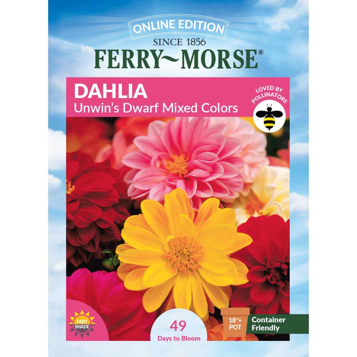 Dahlia, Unwin's Dwarf Mixed Colors Seeds | Annual Flower Garden
