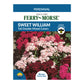 Sweet William, Tall Double Mixed Colors Seeds