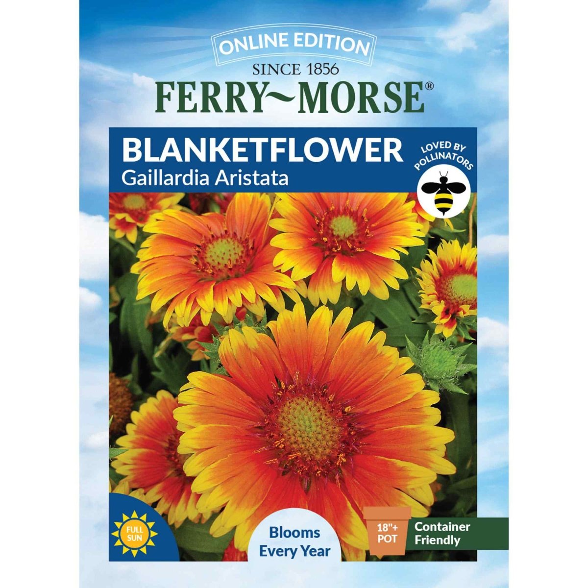 blanket flower seeds Gaillardia Aristata Blanketflower Seeds 300mg from Ferry-Morse Seeds