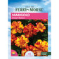 Marigold, Dwarf Bolero Seeds Online Edition