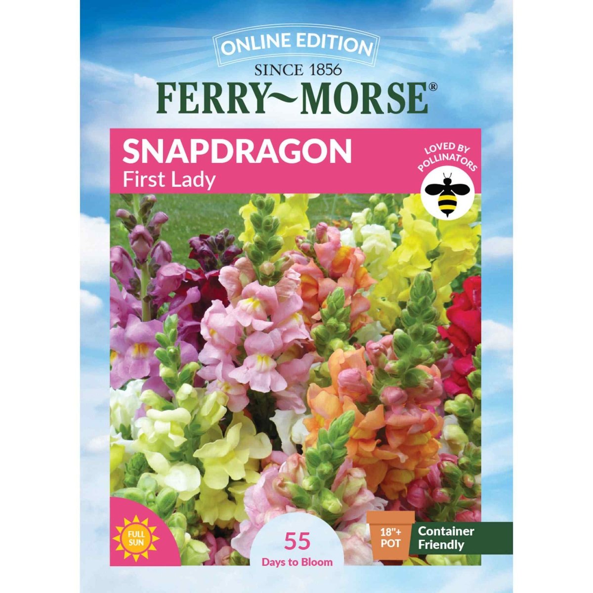 snapdragon seed to flower time Snapdragon, First Ladies Mixed Colors Seeds, 300mg