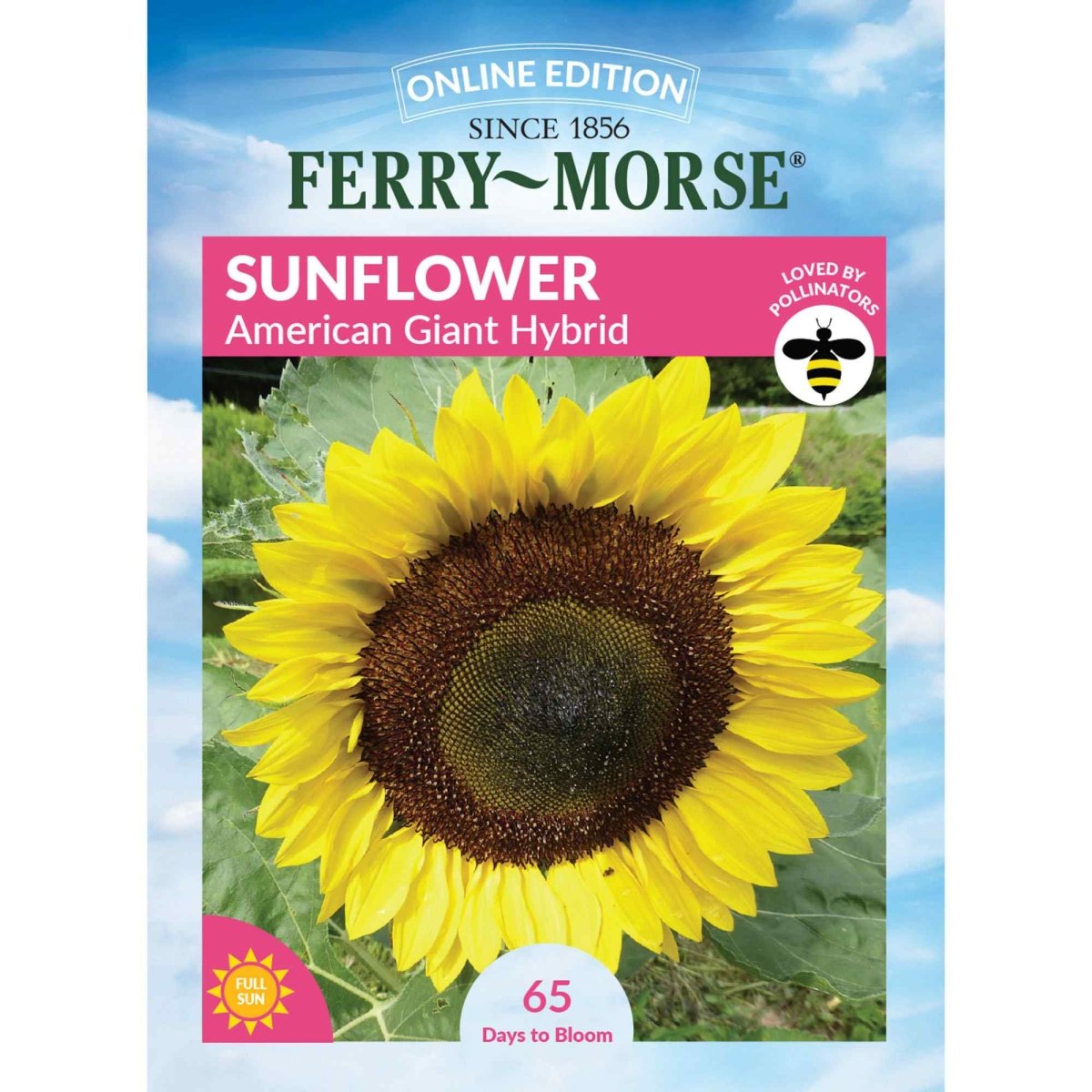 where to buy sunflower seeds to plant Ferry-Morse Online Edition 1.8g Sunflower American Giant Hybrid Seeds