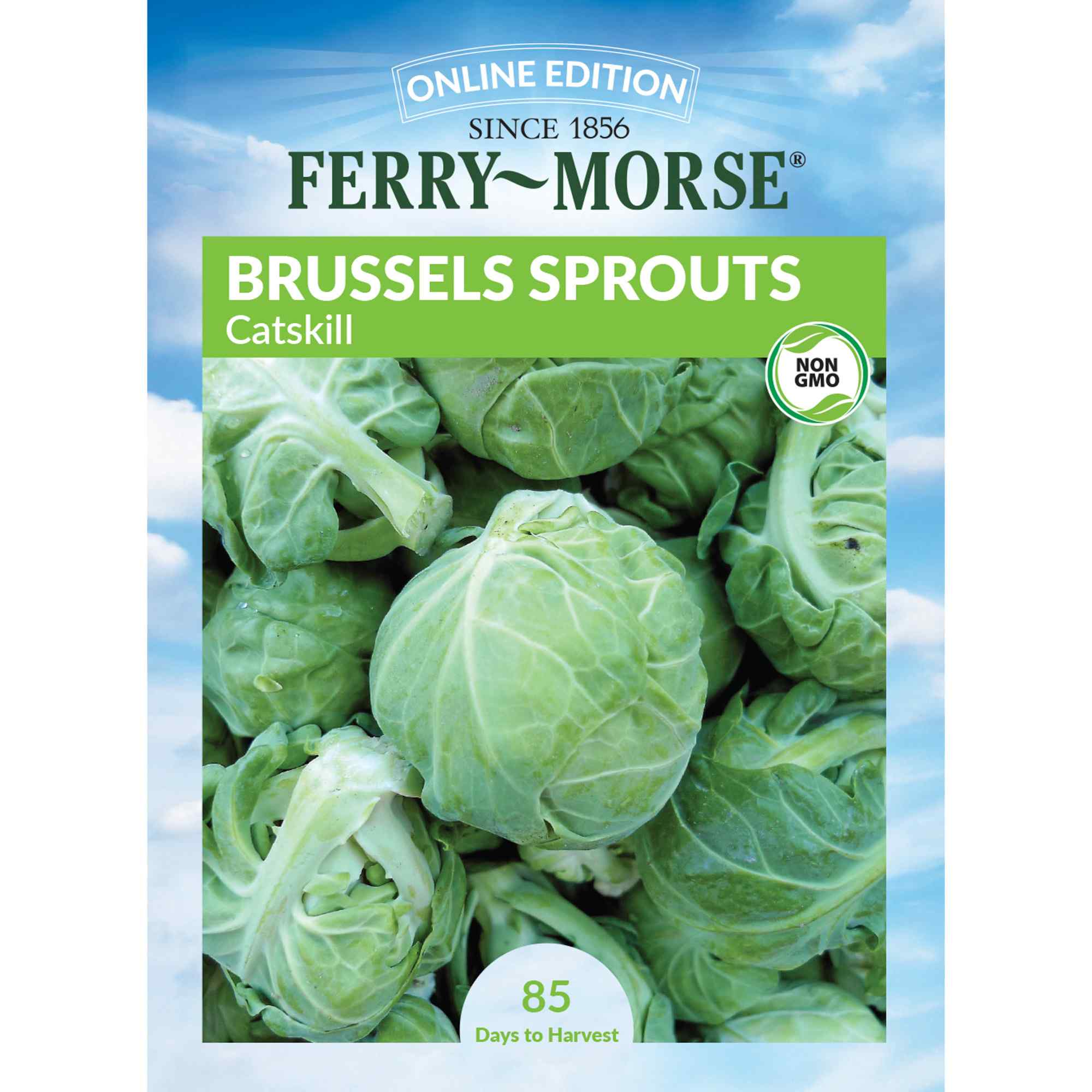 Brussels Sprouts, Catskill Seeds