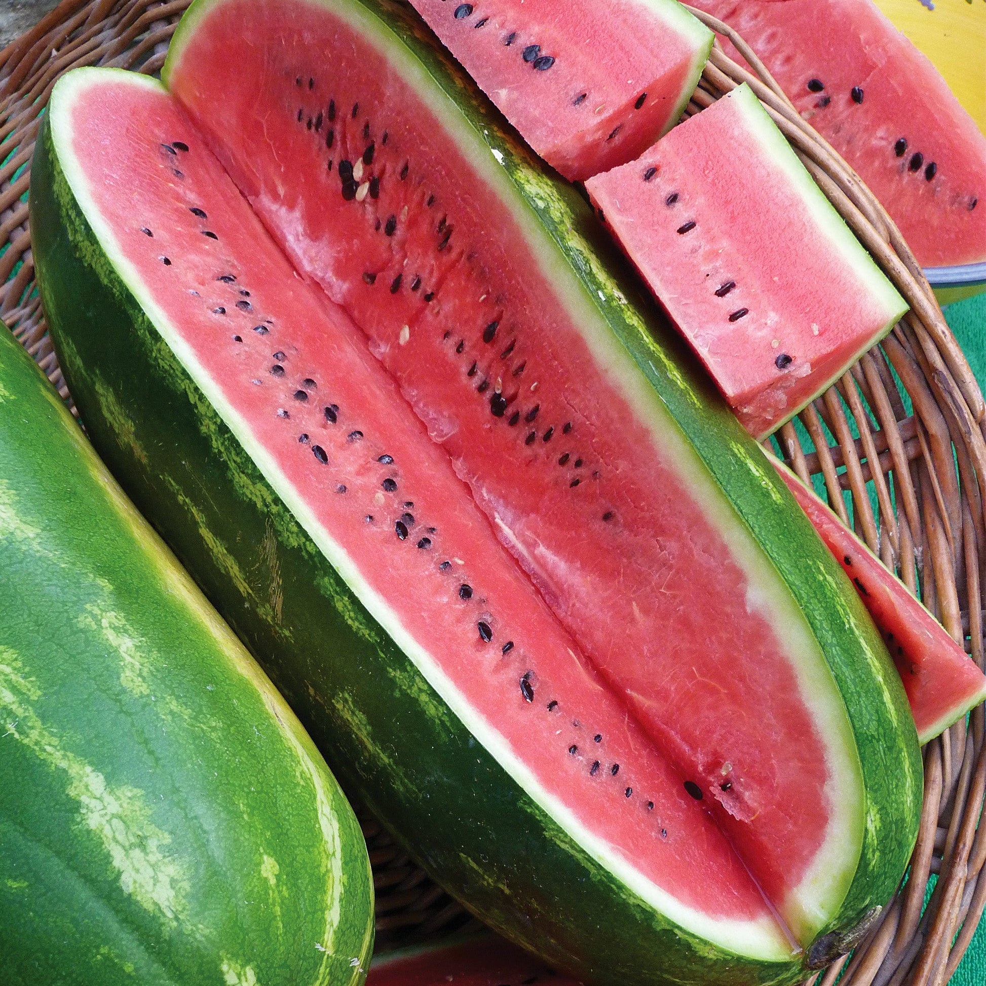 Jubilee Watermelon seeds_picture shows matured and harvested elongated jubilee watermelon.