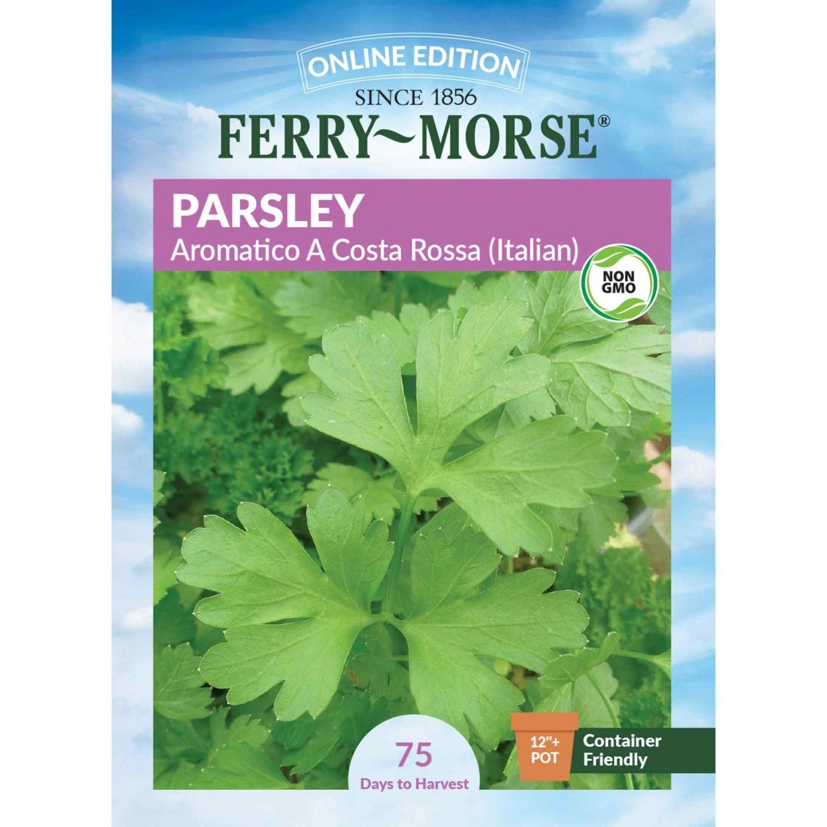 Aromatico A Costa Rossa Parsley Seeds | Culinary Herb | Herb