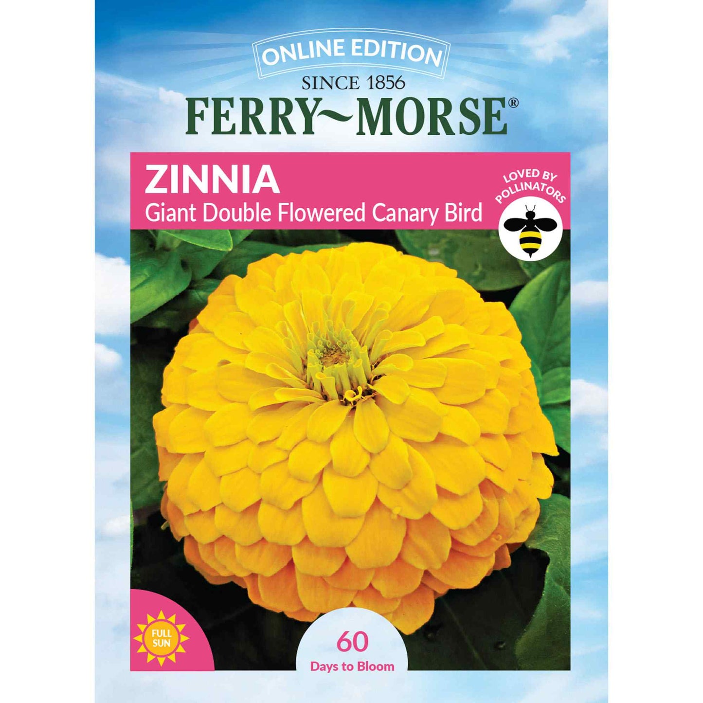 Zinnia, Giant Double Flowered Canary Bird Seeds Online Edition