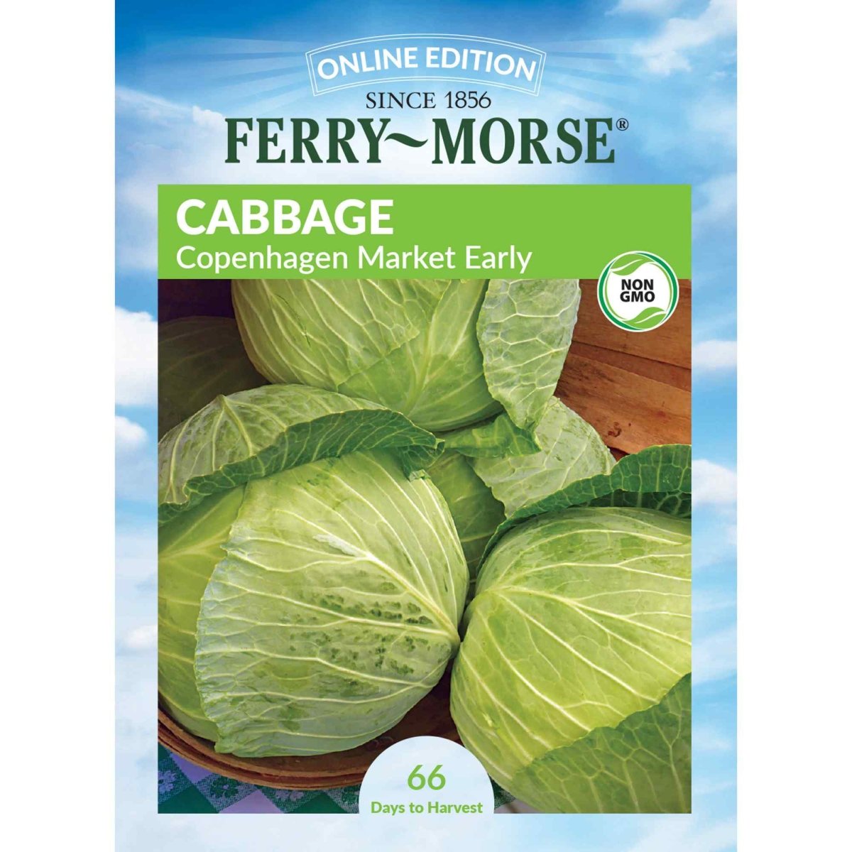 Cabbage Copenhagen Market Early Seed | Heirloom Cabbage | Easy To Grow ...